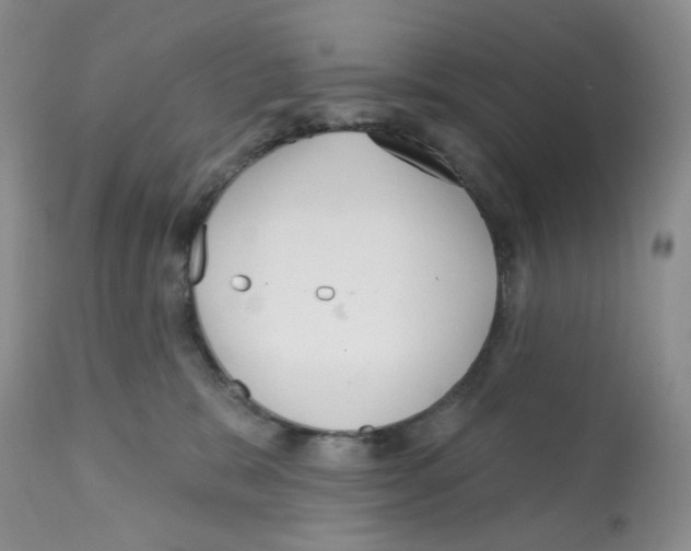 X0000112160327200909181453