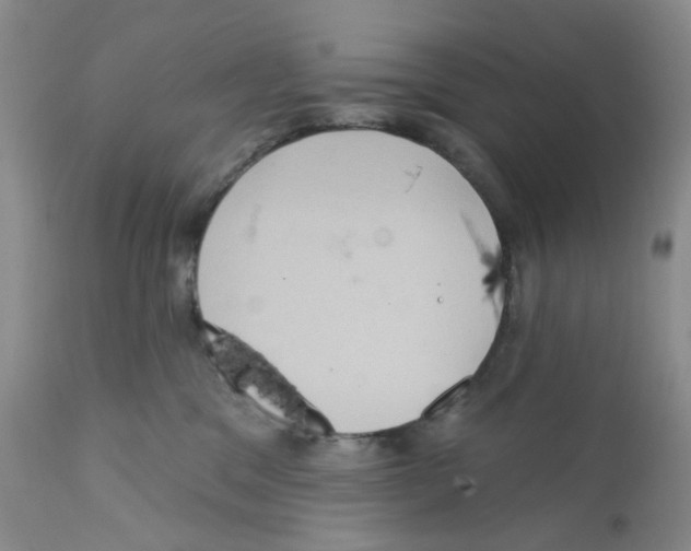 X0000112160329200909181453