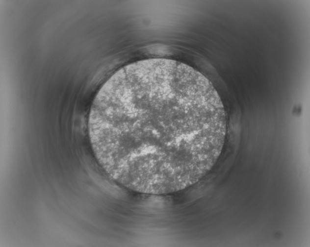 X0000112160330200909181453