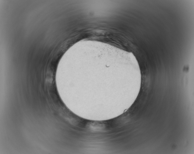 X0000112160331200909181453