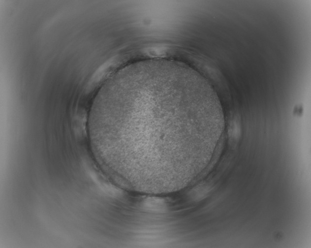 X0000112160332200909181453