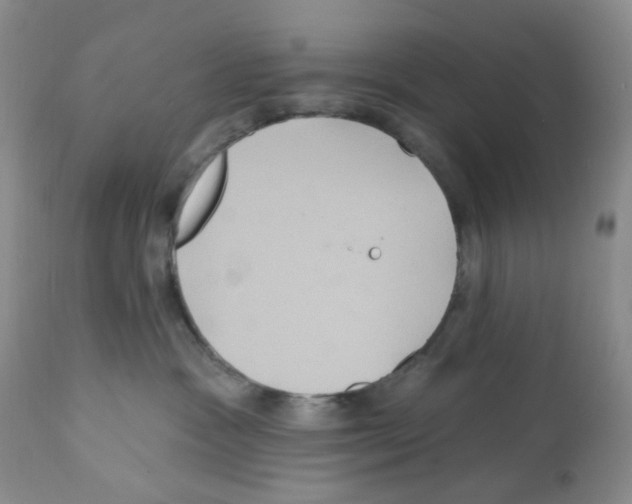 X0000112160333200909181453