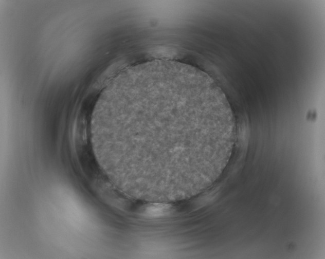 X0000112160334200909181453