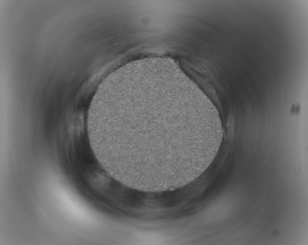 X0000112160335200909181453