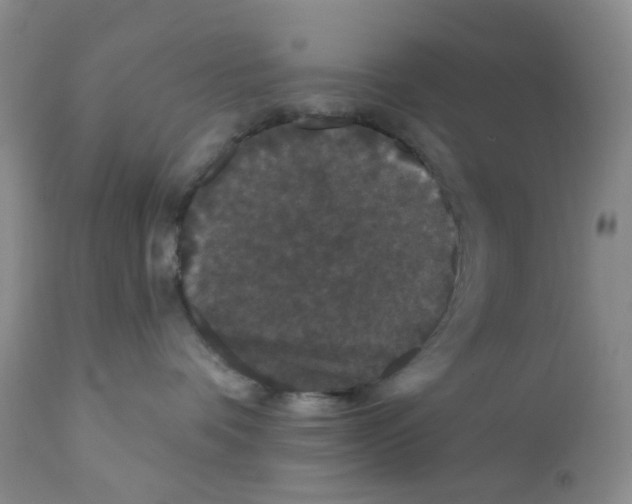 X0000112160336200909181453