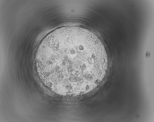 X0000112160337200909181452