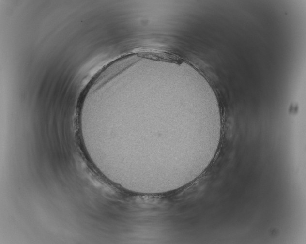 X0000112160338200909181452