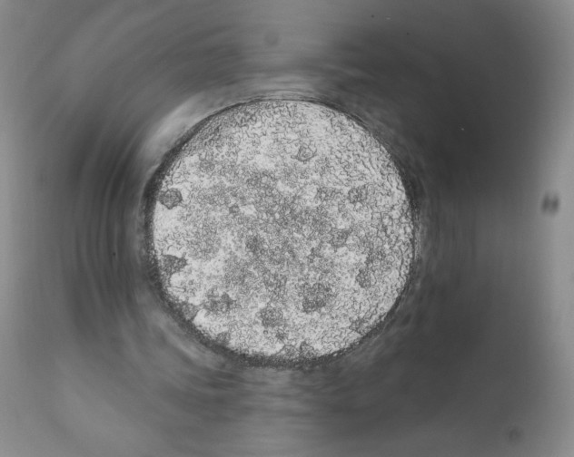 X0000112160339200909181452