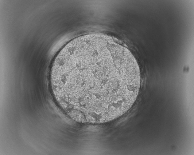 X0000112160341200909181452