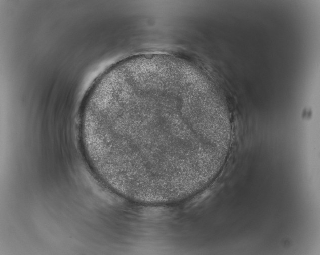 X0000112160342200909181453