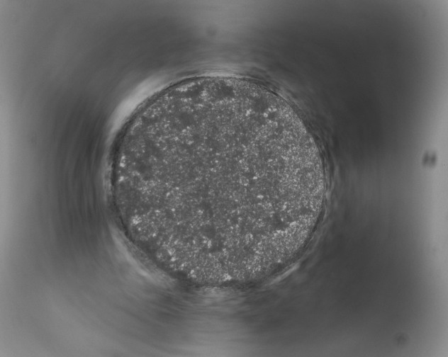 X0000112160343200909181453