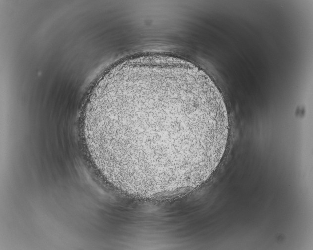 X0000112160346200909181453