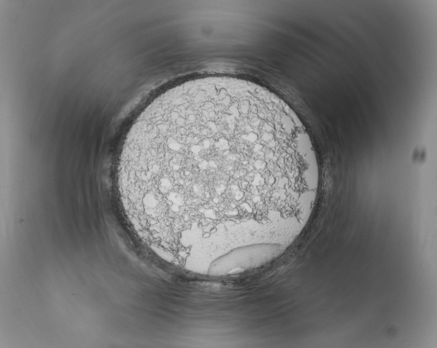 X0000112160347200909181453