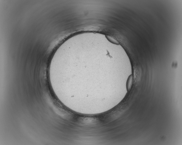 X0000112160348200909181453