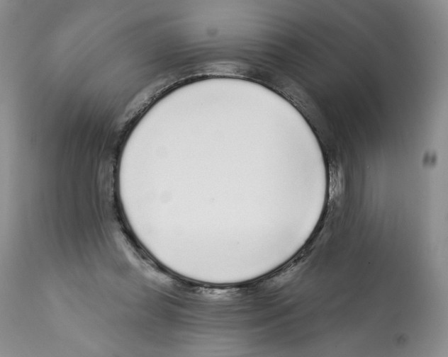 X0000112160349200909181453