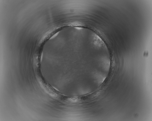 X0000112160351200909181453