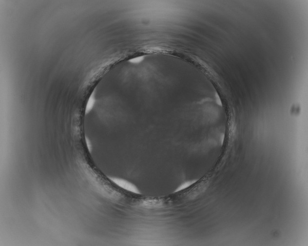 X0000112160353200909181453