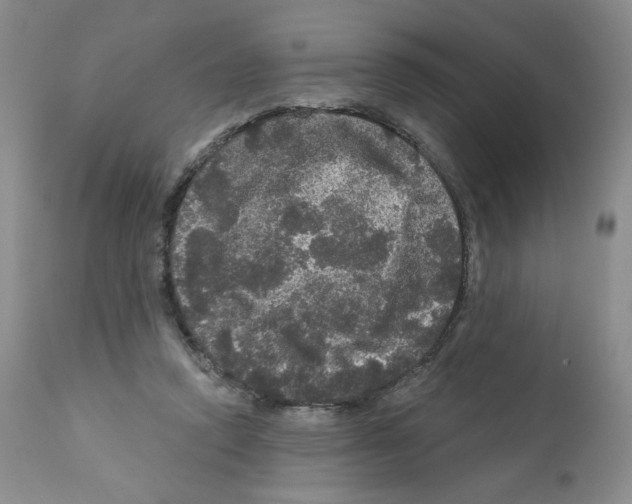 X0000112160354200909181453