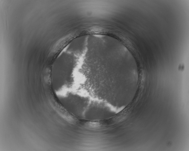 X0000112160361200909181453