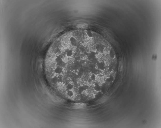 X0000112160363200909181453