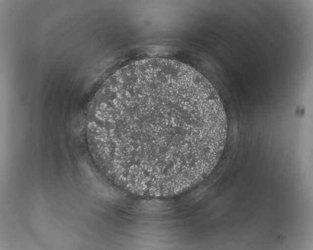 X0000112160367200909181453