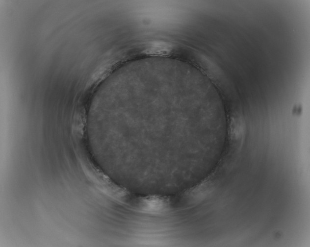 X0000112160370200909181453