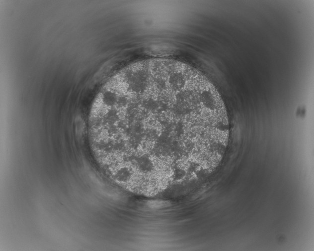 X0000112160371200909181453