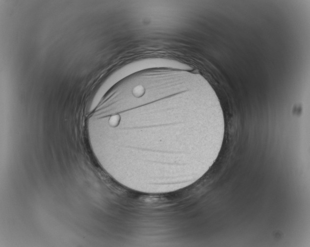 X0000112160372200909181453