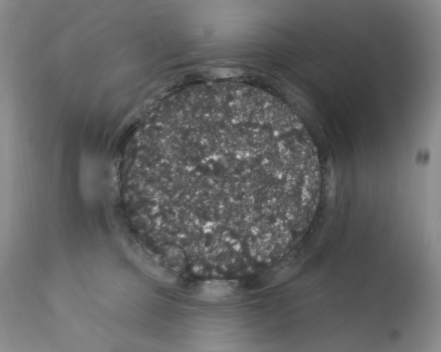 X0000112160373200909181453