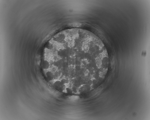 X0000112160374200909181453