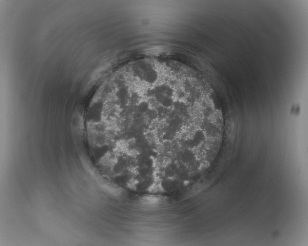 X0000112160375200909181453