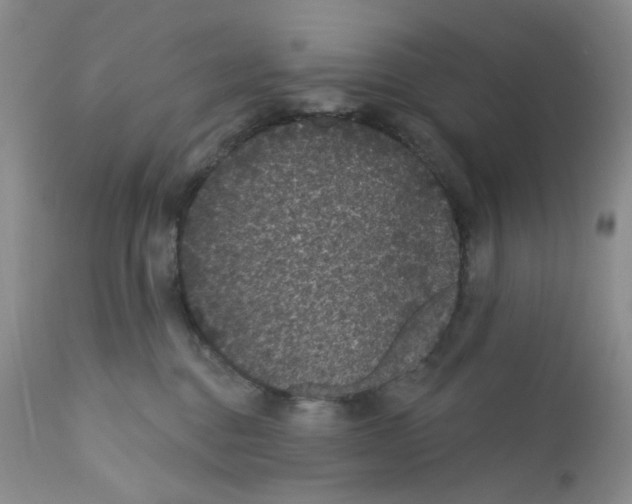 X0000112160376200909181453