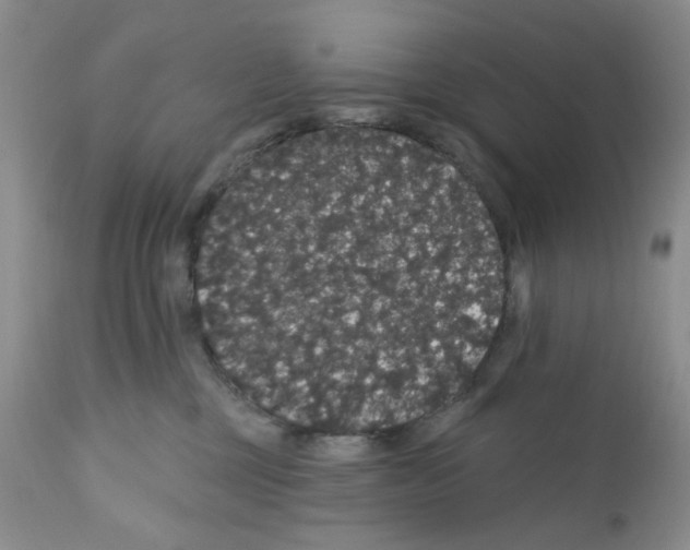 X0000112160377200909181453