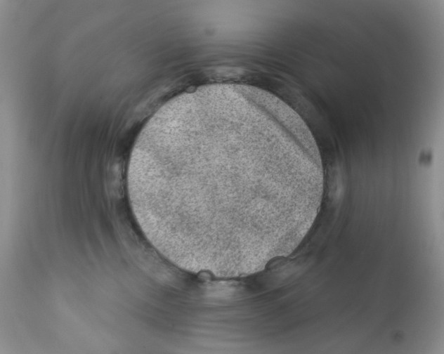 X0000112160378200909181453