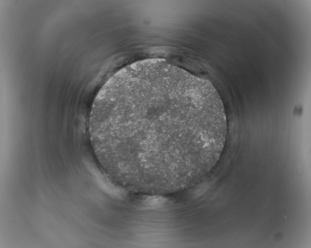 X0000112160379200909181453