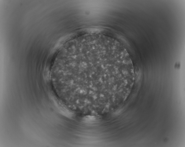 X0000112160381200909181453