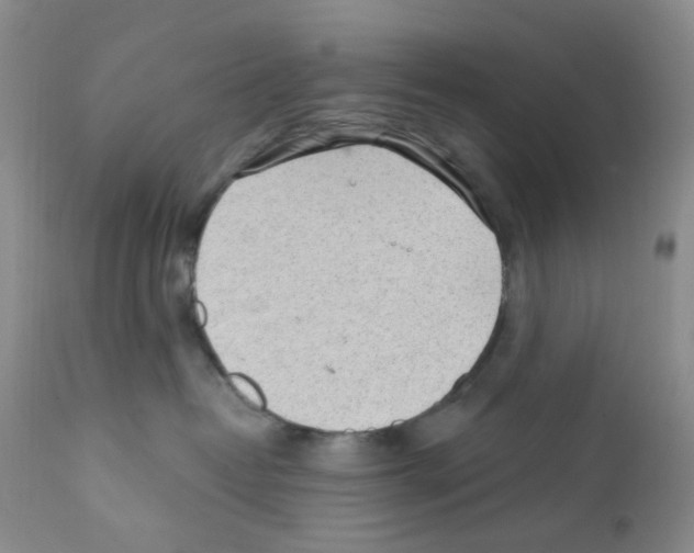 X0000112160382200909181453