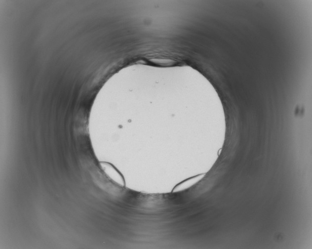 X0000112160384200909181453