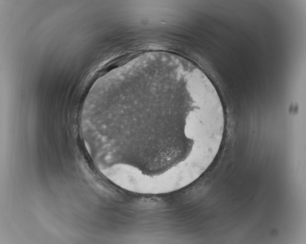 X0000112160386200909181452