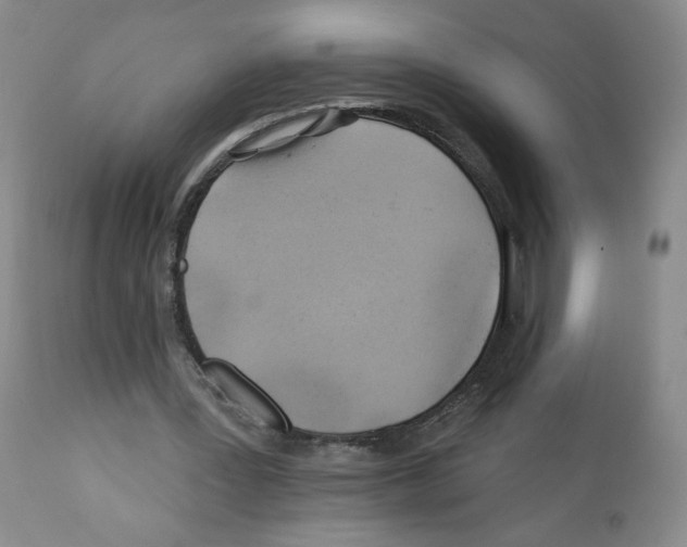 X0000112160387200909181452