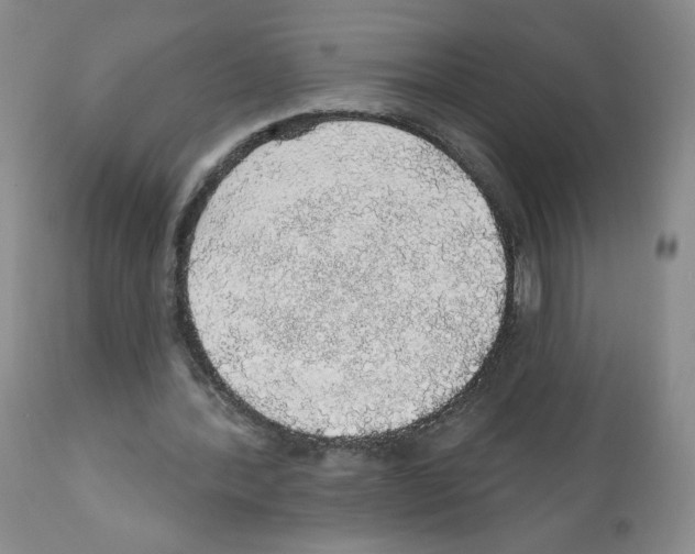 X0000112160388200909181452