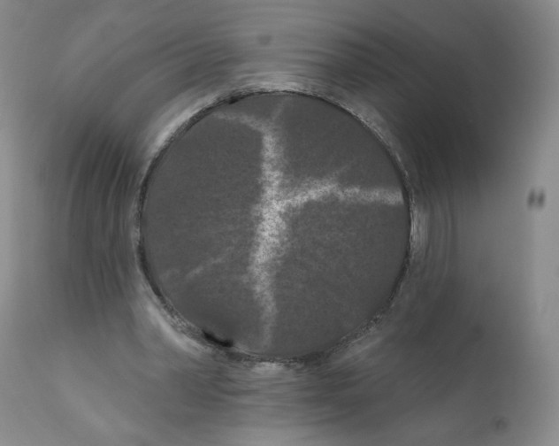 X0000112160390200909181452