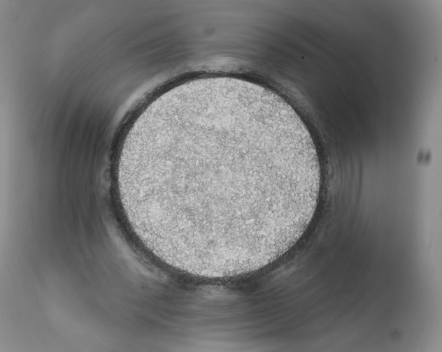 X0000112160392200909181452