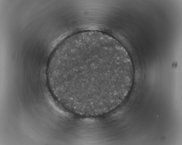 X0000112160394200909181452