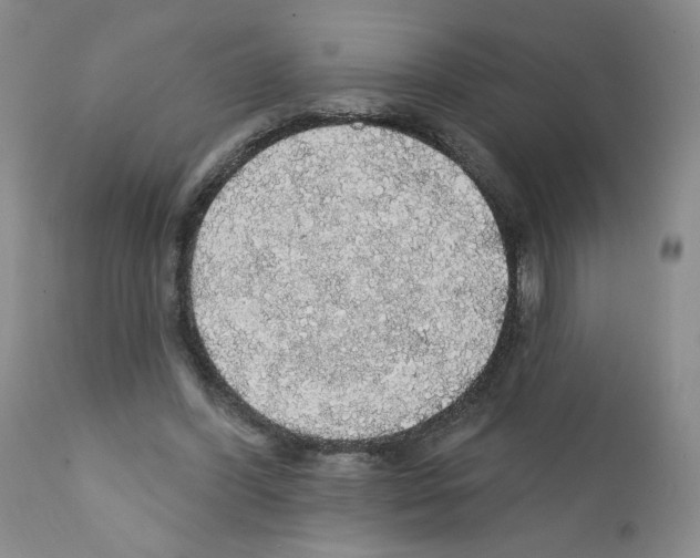 X0000112160396200909181452