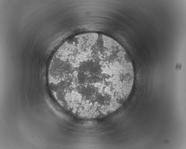 X0000112160398200909181452