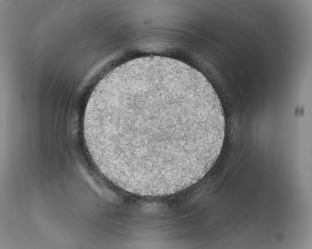 X0000112160400200909181452
