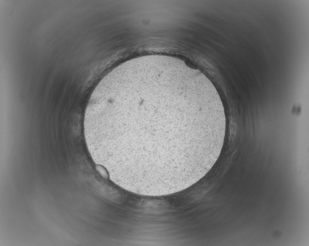 X0000112160401200909181452