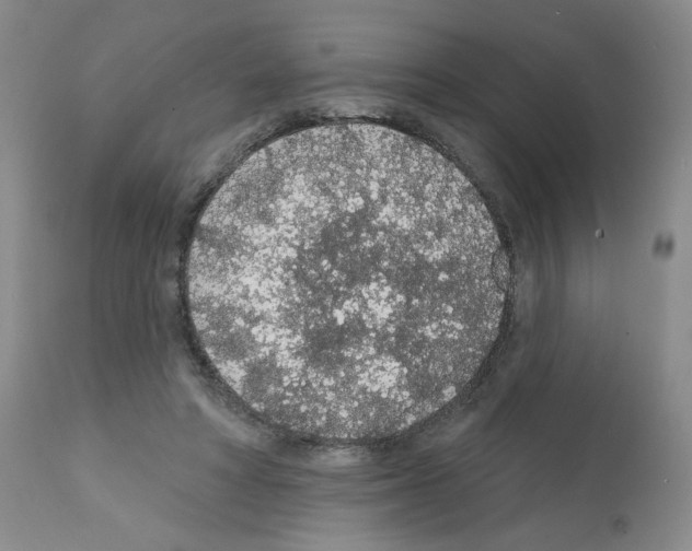 X0000112160402200909181452