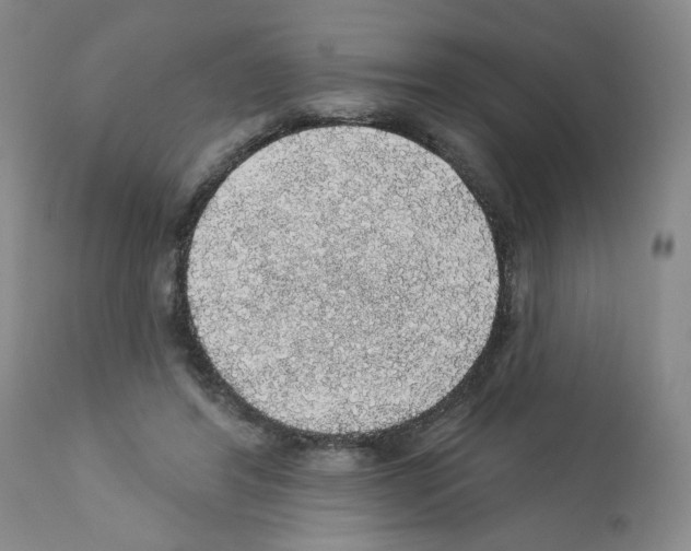 X0000112160404200909181452